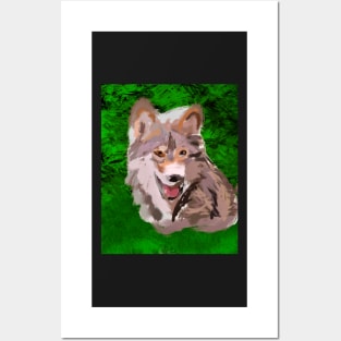 Beautiful wolf, Posters and Art